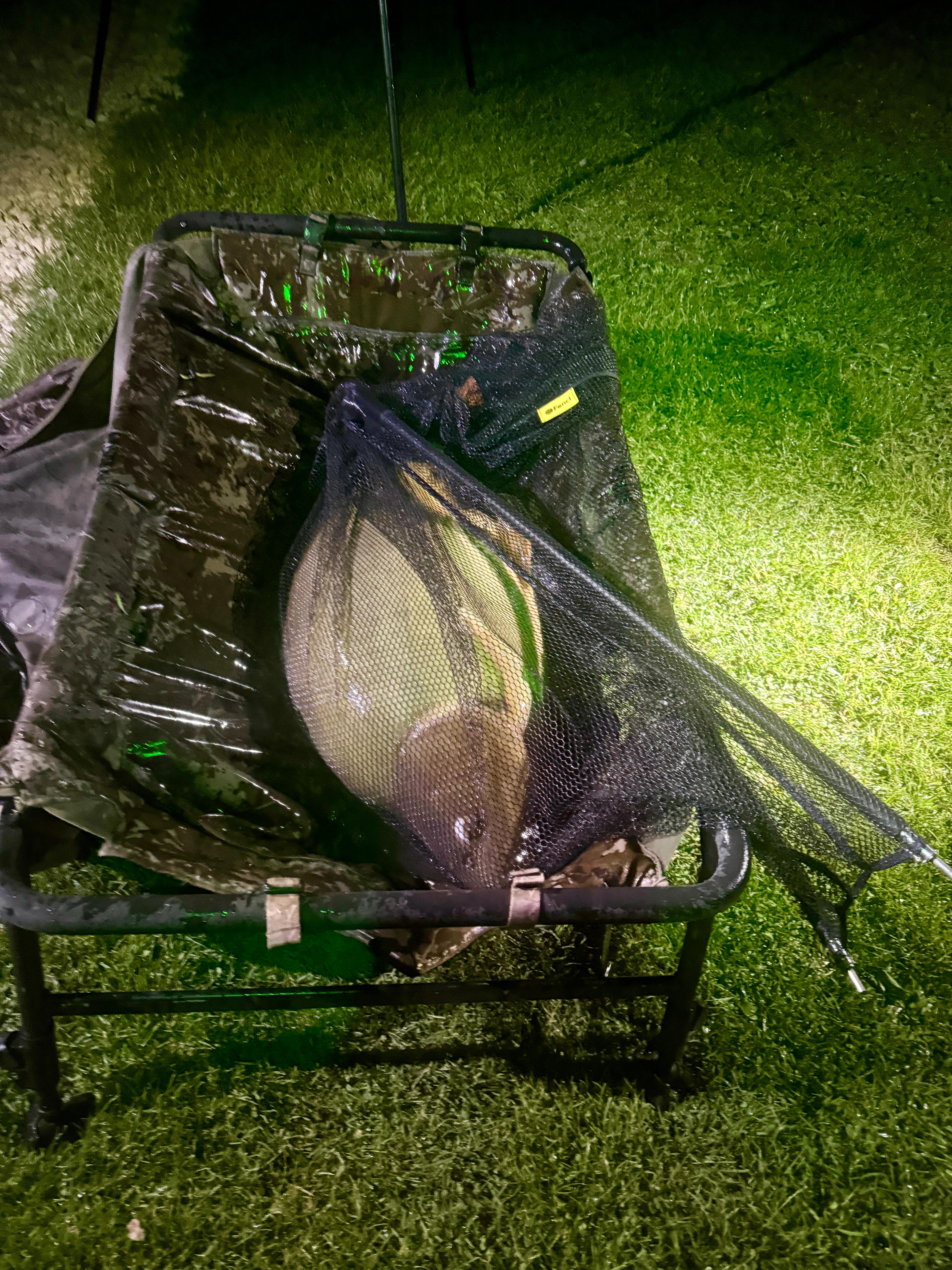 velký kapr ulovený na Tropic Krill boilie Fencl